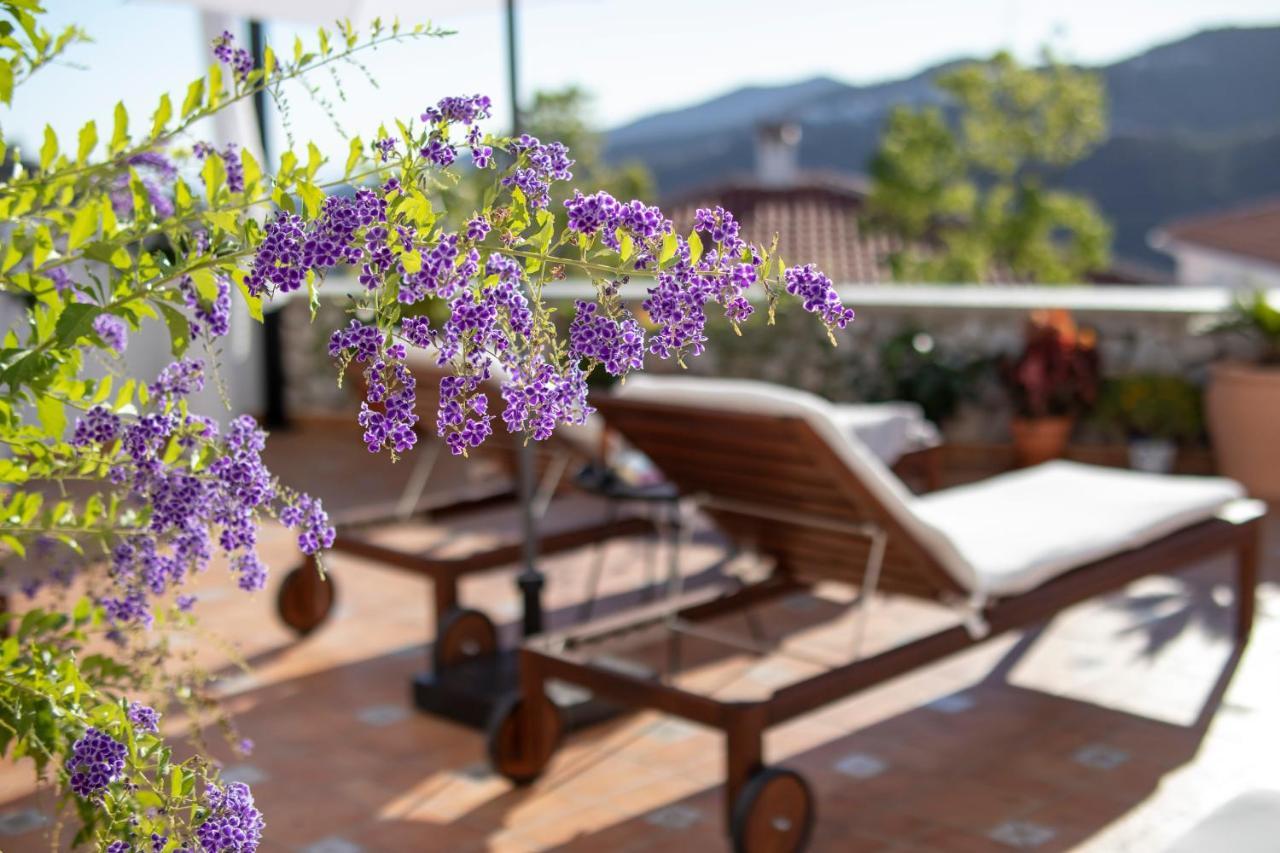 Malaga Hills Double Comfort Boutique & Wellness Eco-Hotel -Adults Only- Cómpeta Zewnętrze zdjęcie