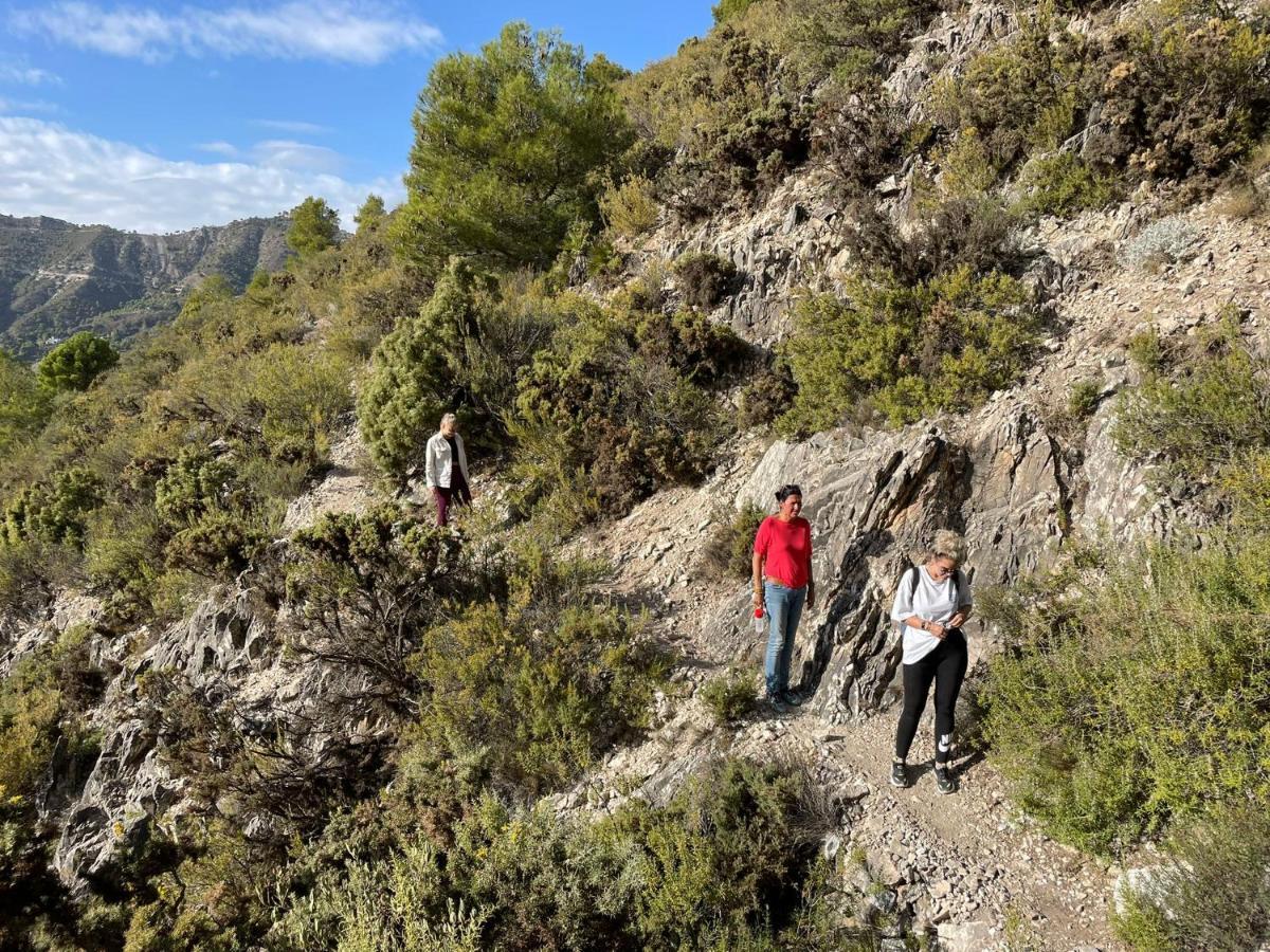 Malaga Hills Double Comfort Boutique & Wellness Eco-Hotel -Adults Only- Cómpeta Zewnętrze zdjęcie